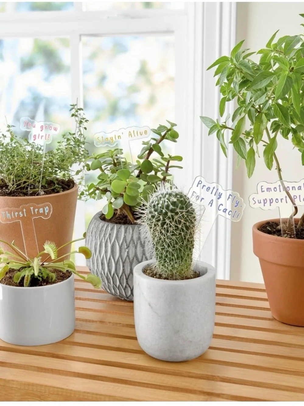 Mainstays Pastel Inspirational Plant Markers - Pink, Purple, Yellow, Teal, Blue